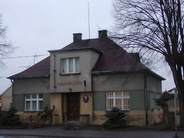 Radili pokácet lesy a stavět