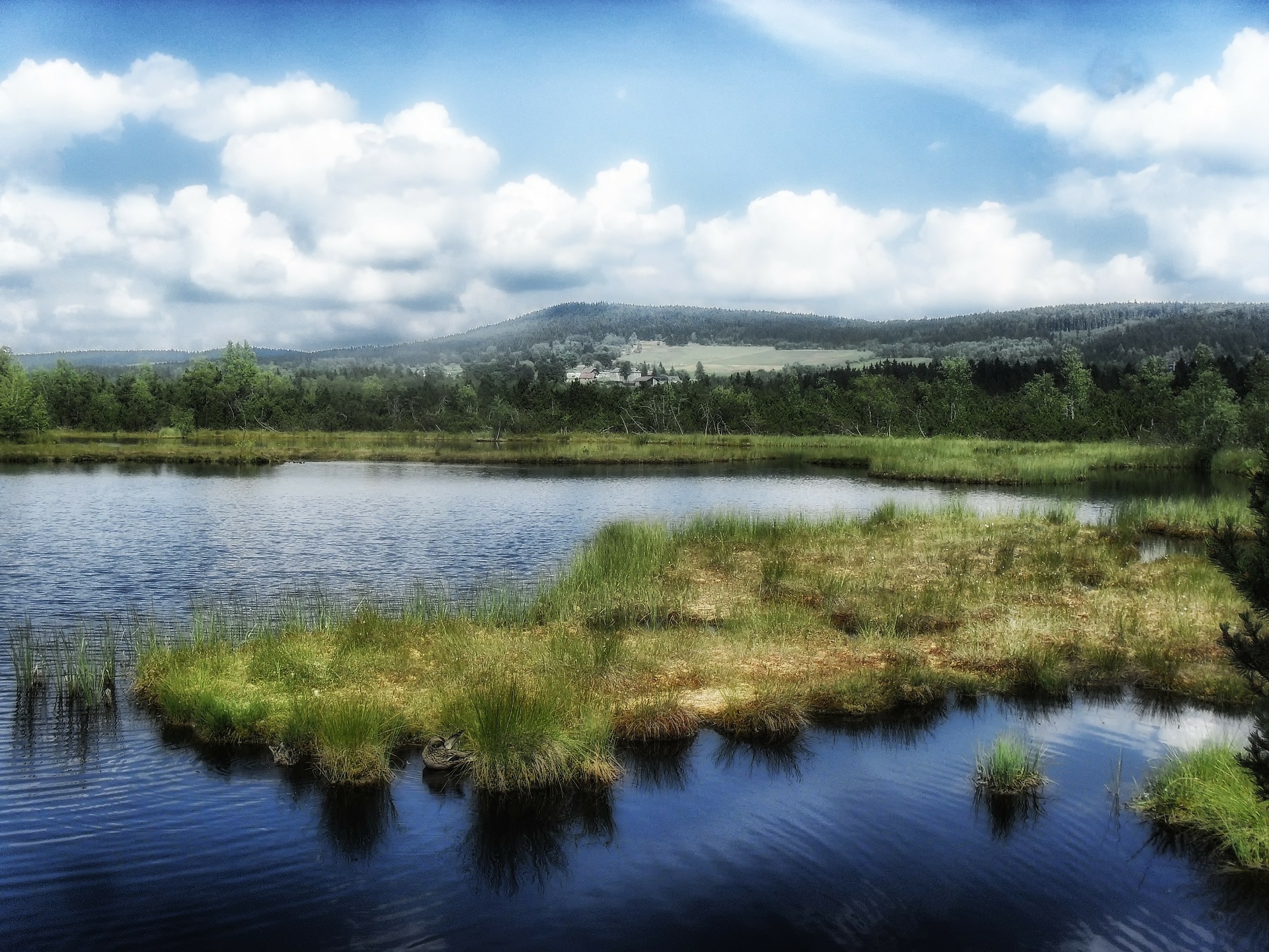 Exkurze do života kapra