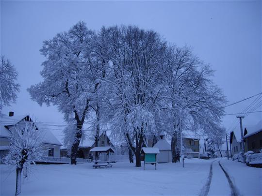 Přelidnění? V Syrově nehrozí