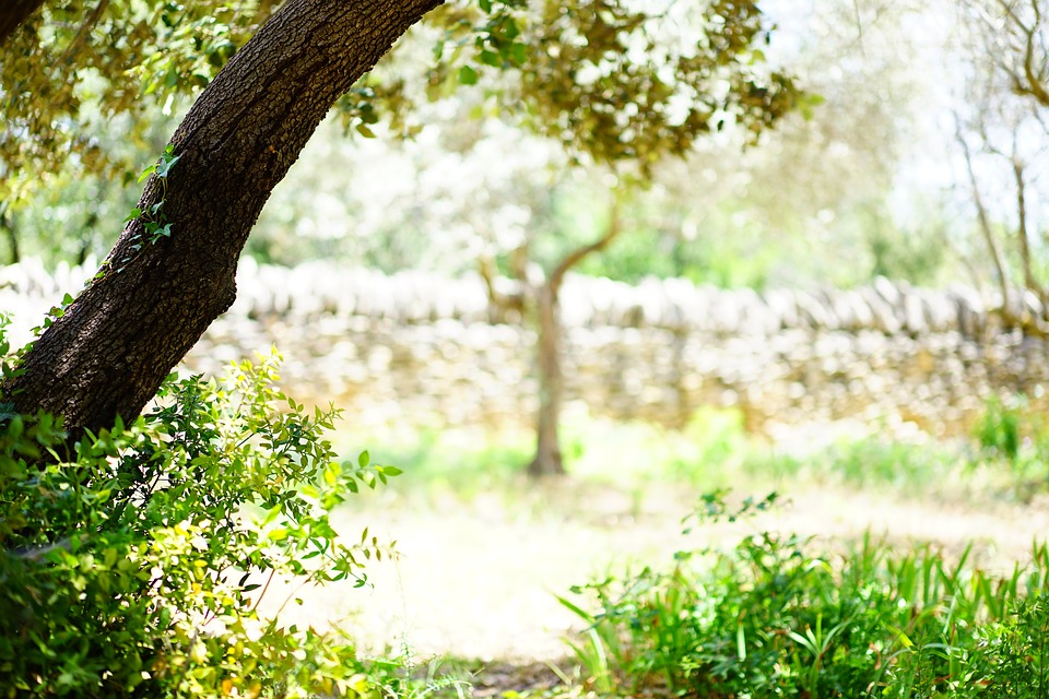 Horská oáza klidu a míru