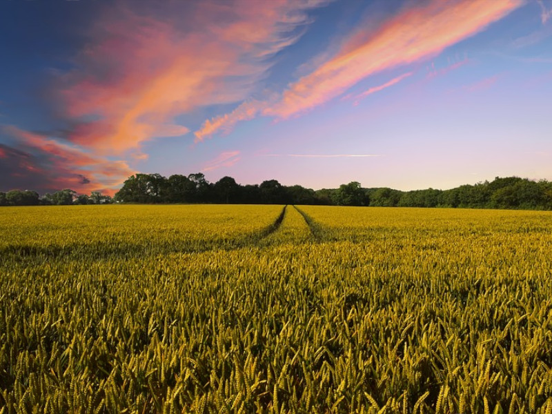 Tvrze jsou odkazem historie