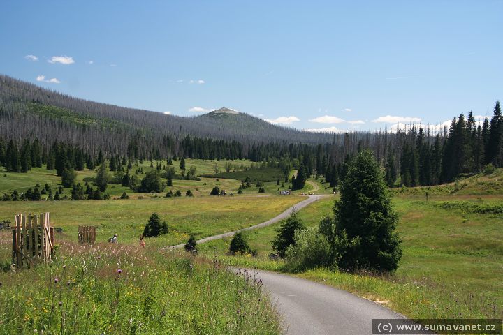 Vydra, vlci a Srní