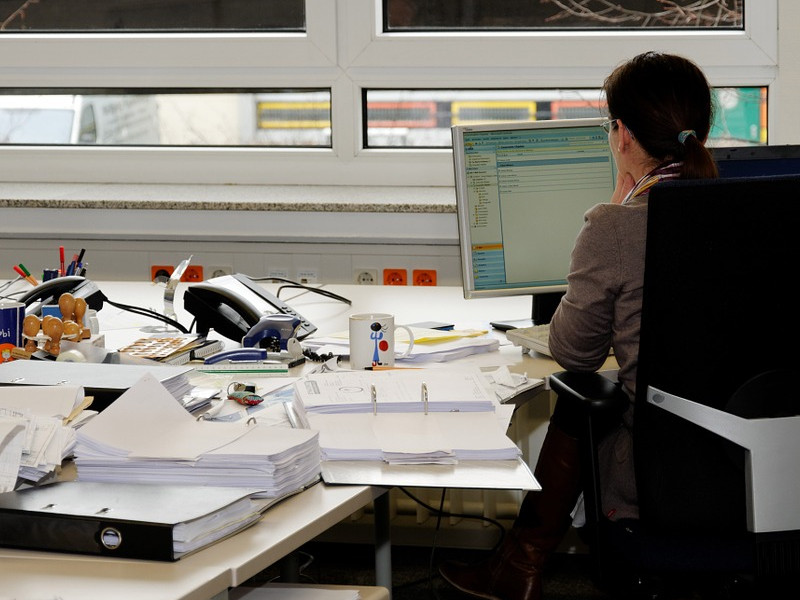 Kde se vzal český lev?