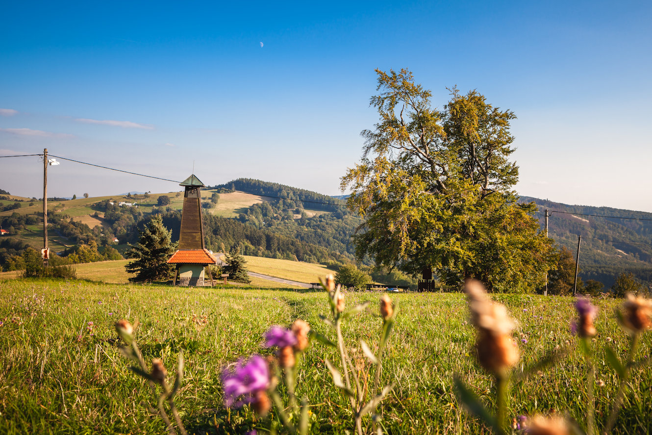 V létě se nemusíme jen koupat