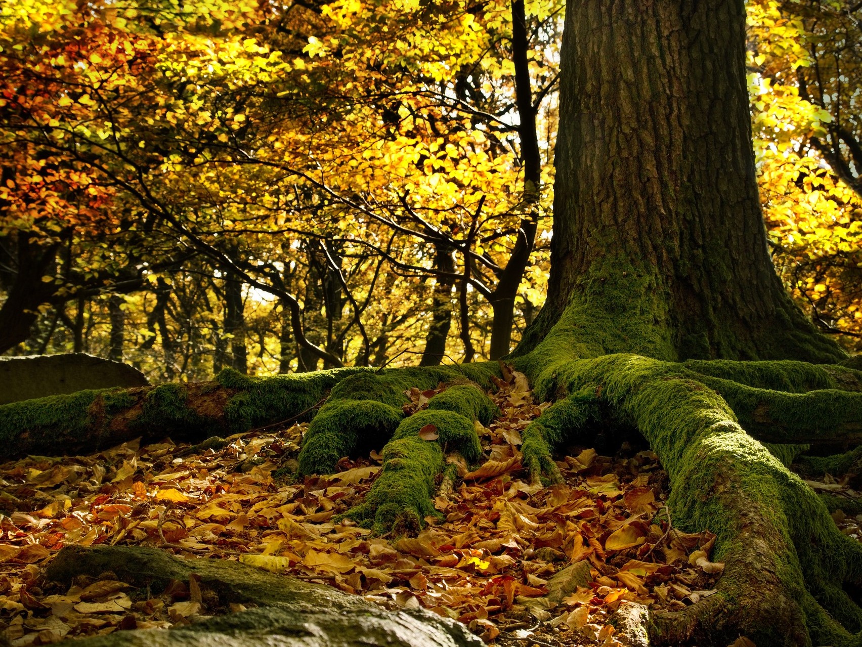 Učebnice geologie o rozloze 760 km2