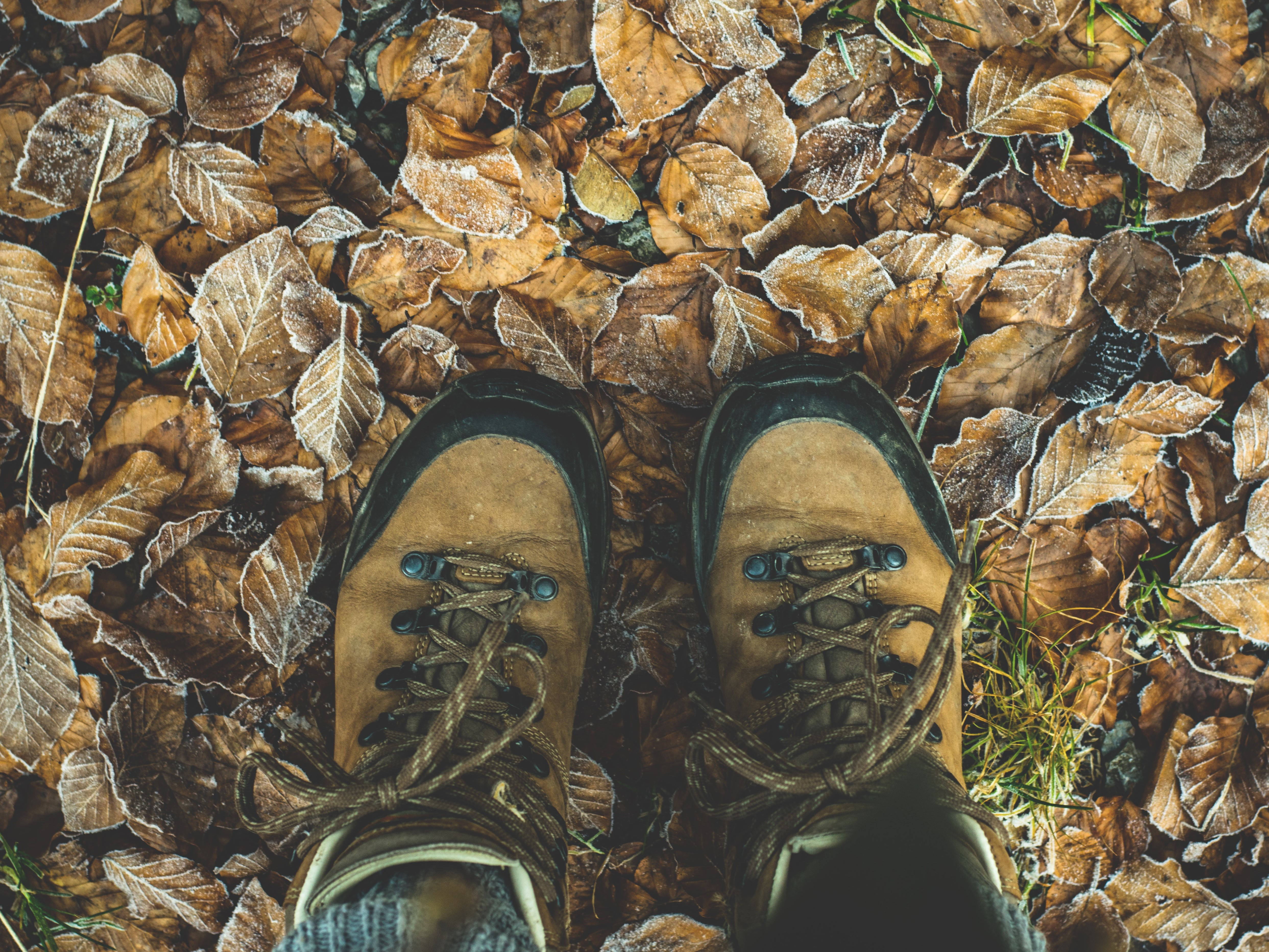 Turistika na koni a za koňmi