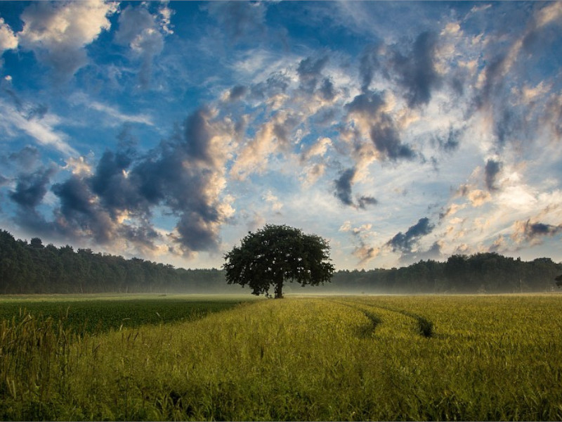 Putování po Jantarové stezce