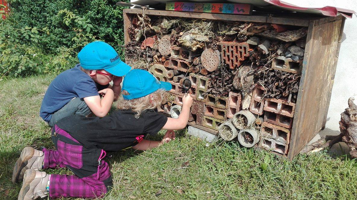 Proč jsou ekoškolky důležité