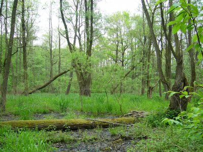 Na výlet do Osoblahy jedině úzkokolejkou