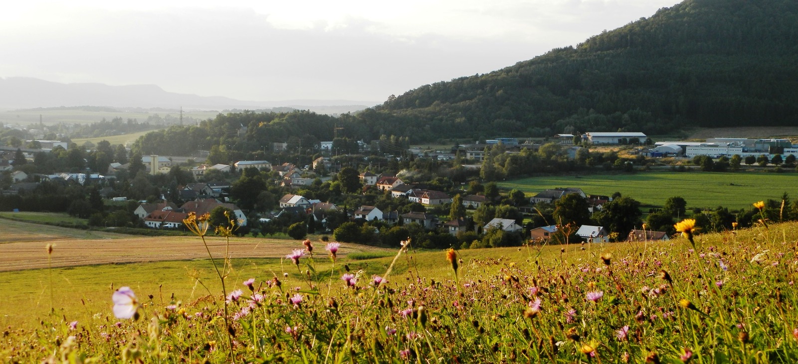 Linhartice – klidný život v malebné obci, kde ale není nuda